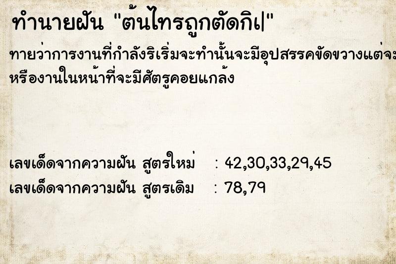 ทำนายฝันทำนายฝันต้นไทรถูกตัดกิà|